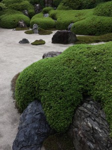 image10