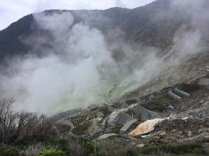 image13