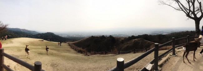 若草山①